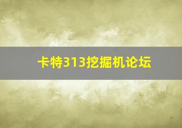 卡特313挖掘机论坛