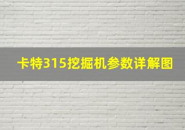 卡特315挖掘机参数详解图