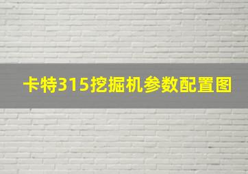 卡特315挖掘机参数配置图