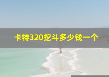 卡特320挖斗多少钱一个