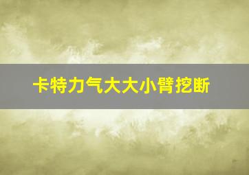 卡特力气大大小臂挖断