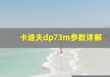 卡迪夫dp73m参数详解