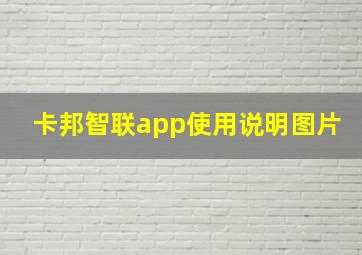 卡邦智联app使用说明图片