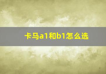 卡马a1和b1怎么选