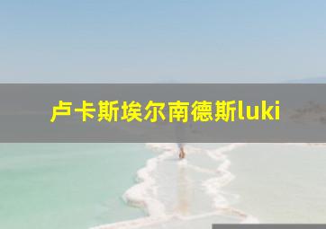 卢卡斯埃尔南德斯luki