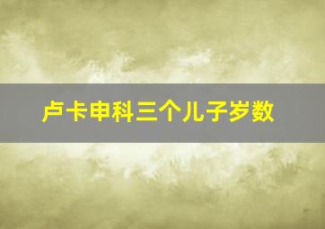 卢卡申科三个儿子岁数