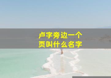 卢字旁边一个页叫什么名字