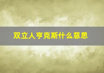 双立人亨克斯什么意思