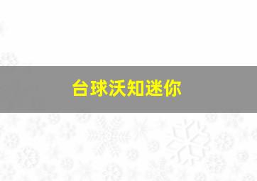 台球沃知迷你