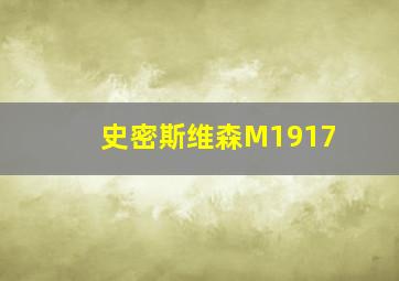 史密斯维森M1917