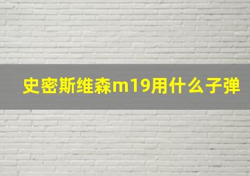 史密斯维森m19用什么子弹