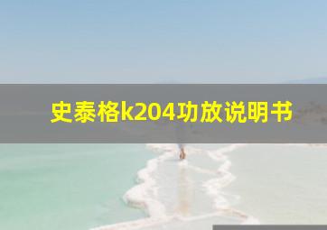 史泰格k204功放说明书