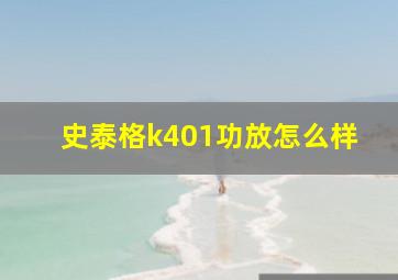 史泰格k401功放怎么样