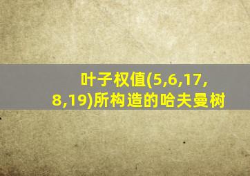 叶子权值(5,6,17,8,19)所构造的哈夫曼树