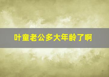 叶童老公多大年龄了啊