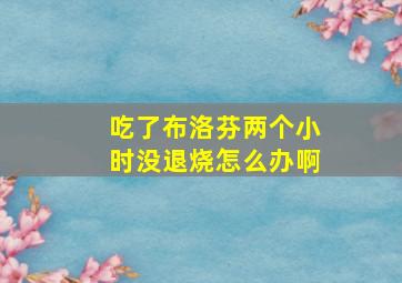 吃了布洛芬两个小时没退烧怎么办啊