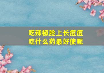 吃辣椒脸上长痘痘吃什么药最好使呢