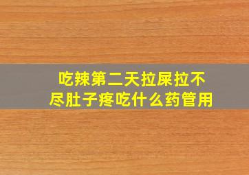 吃辣第二天拉屎拉不尽肚子疼吃什么药管用