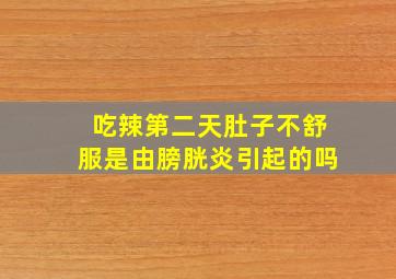 吃辣第二天肚子不舒服是由膀胱炎引起的吗