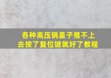 各种高压锅盖子推不上去按了复位键就好了教程