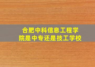 合肥中科信息工程学院是中专还是技工学校