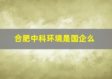 合肥中科环境是国企么