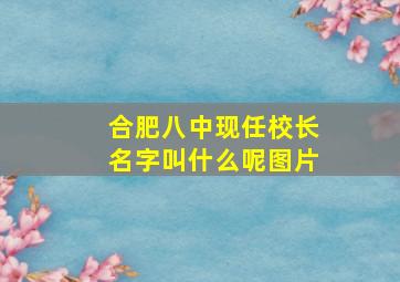 合肥八中现任校长名字叫什么呢图片