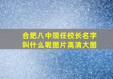 合肥八中现任校长名字叫什么呢图片高清大图