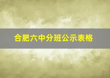 合肥六中分班公示表格