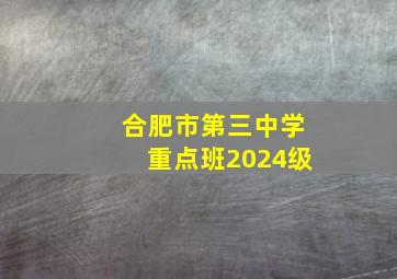 合肥市第三中学重点班2024级