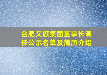 合肥文旅集团董事长调任公示名单及简历介绍