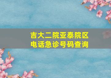 吉大二院亚泰院区电话急诊号码查询