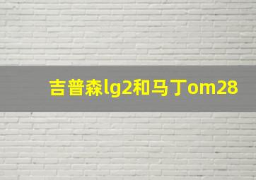 吉普森lg2和马丁om28