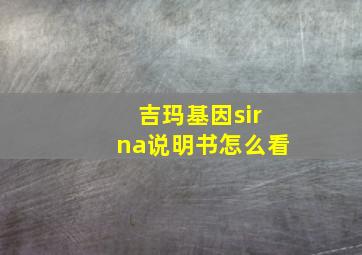 吉玛基因sirna说明书怎么看