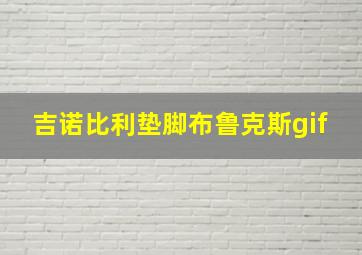 吉诺比利垫脚布鲁克斯gif