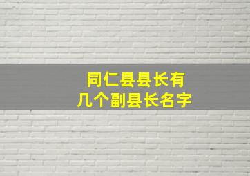 同仁县县长有几个副县长名字