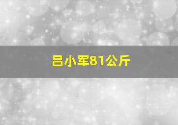 吕小军81公斤