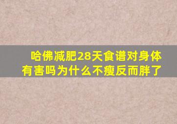 哈佛减肥28天食谱对身体有害吗为什么不瘦反而胖了