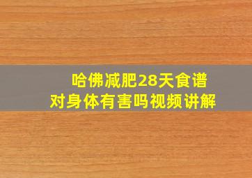 哈佛减肥28天食谱对身体有害吗视频讲解