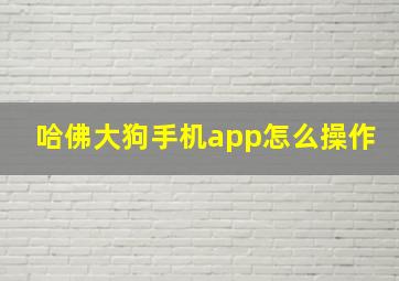 哈佛大狗手机app怎么操作