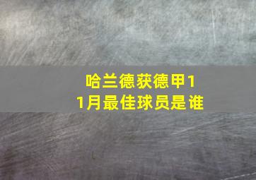 哈兰德获德甲11月最佳球员是谁