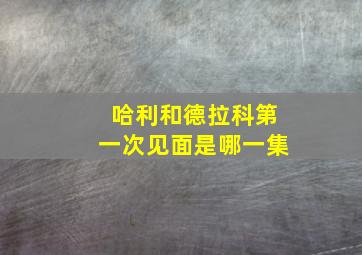 哈利和德拉科第一次见面是哪一集