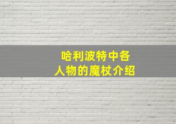 哈利波特中各人物的魔杖介绍