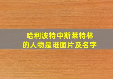 哈利波特中斯莱特林的人物是谁图片及名字