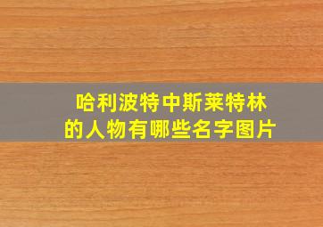 哈利波特中斯莱特林的人物有哪些名字图片