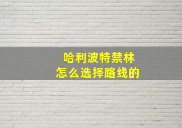 哈利波特禁林怎么选择路线的