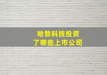 哈勃科技投资了哪些上市公司