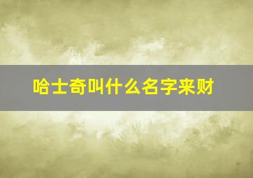 哈士奇叫什么名字来财