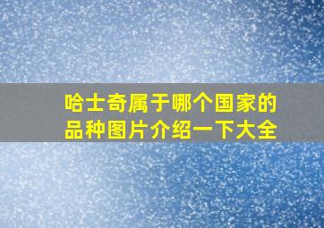 哈士奇属于哪个国家的品种图片介绍一下大全