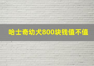 哈士奇幼犬800块钱值不值